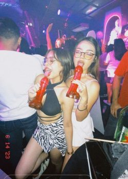 Trolita luego de la fiesta. packsfree.com 2